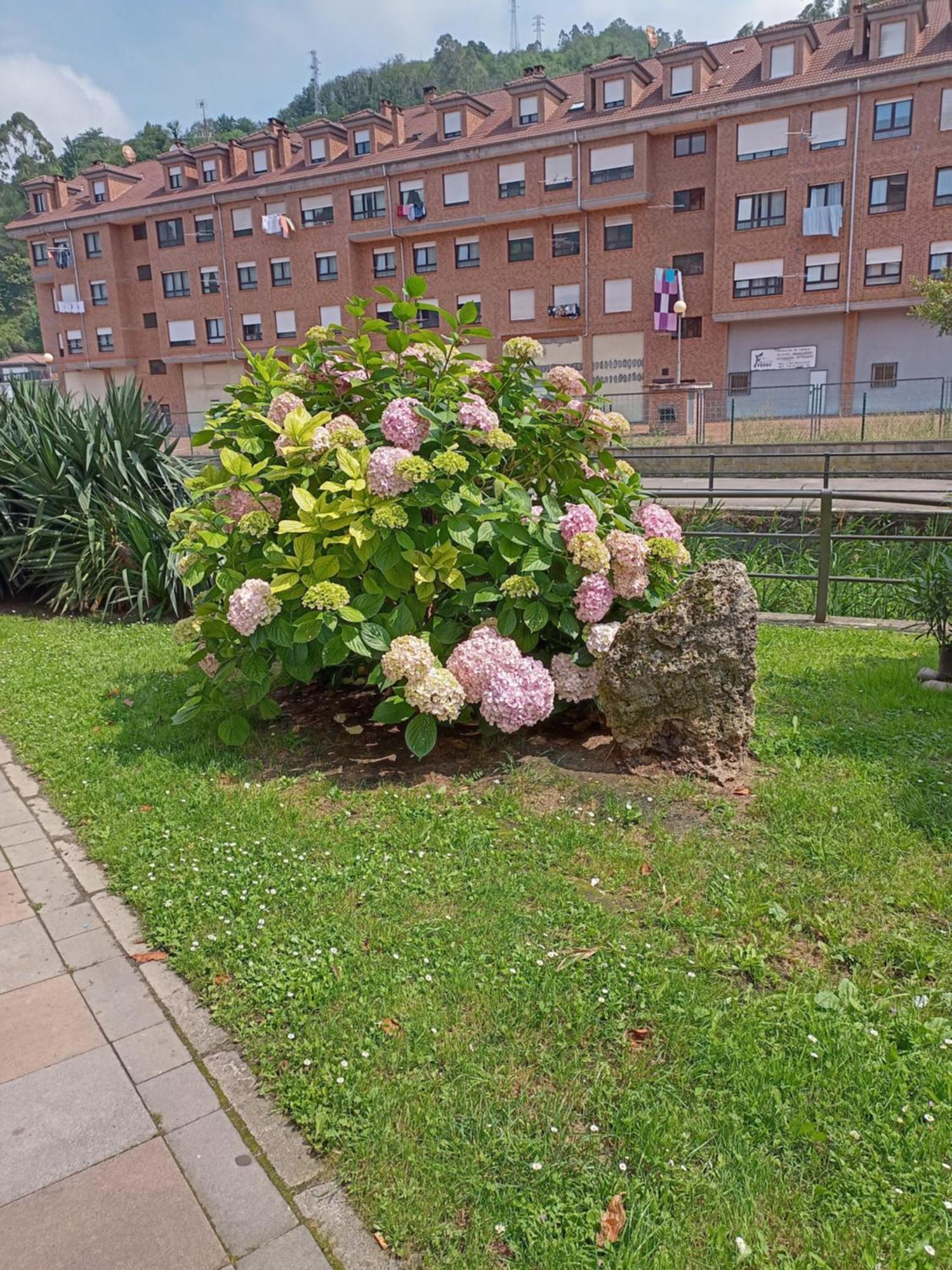 Appartamento El Refugio De Noa Mieres  Esterno foto